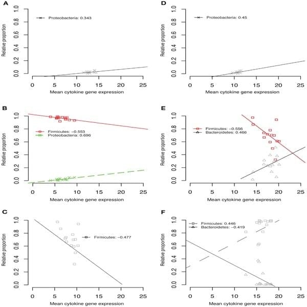 Spatial and Temporal Changes in the Broiler Chicken Cecal and Fecal Microbiomes and Correlations of Bacterial Taxa with Cytokine Gene Expression - Image 10