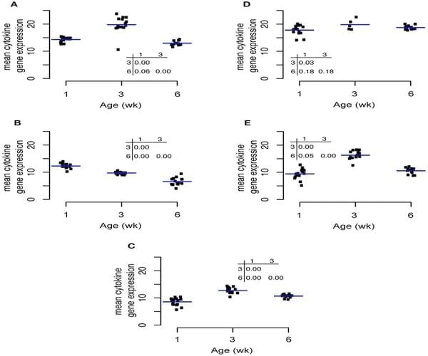 Spatial and Temporal Changes in the Broiler Chicken Cecal and Fecal Microbiomes and Correlations of Bacterial Taxa with Cytokine Gene Expression - Image 9