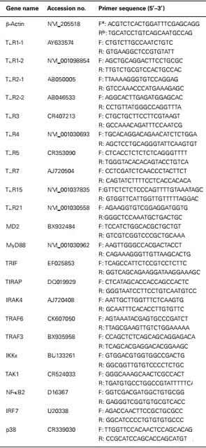 Gene expression analysis of Toll-like receptor pathways in heterophils from genetic chicken lines that differ in their susceptibility to Salmonella enteritidis - Image 1