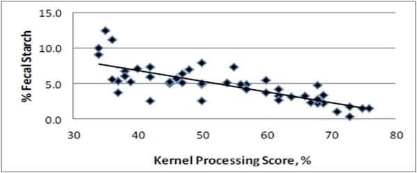 Effect of corn silage kernel processing score on dairy cow starch ...