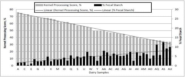 Effect of corn silage kernel processing score on dairy cow starch digestibility - Image 1