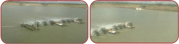 Management Practice of Vannamei Shrimp culture ponds with High Stocking Density & Zero Water Exchange in Purba Medinapur Dist.of W.Bengal, India, in relation to Growth, Survivals and Water quality - Image 5