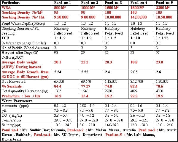 Management Practice of Vannamei Shrimp culture ponds with High Stocking Density & Zero Water Exchange in Purba Medinapur Dist.of W.Bengal, India, in relation to Growth, Survivals and Water quality - Image 9