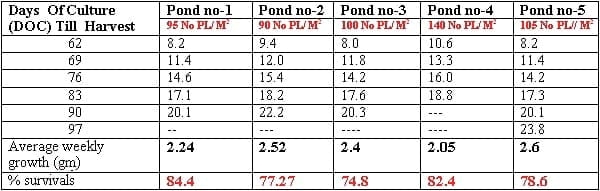 Management Practice of Vannamei Shrimp culture ponds with High Stocking Density & Zero Water Exchange in Purba Medinapur Dist.of W.Bengal, India, in relation to Growth, Survivals and Water quality - Image 10