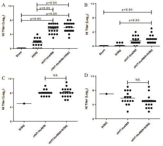 Vaccine protection of chickens against antigenically diverse H5 highly pathogenic avian influenza isolates with a live HVT vector vaccine expressing the influenza hemagglutinin gene derived from a clade 2.2 avian influenza virus - Image 6