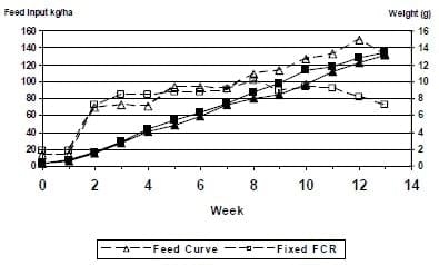 A Case Study on Feed Management to Improving Production and Economic Returns for the Semi-Intensive Pond Production of Litopenaeus vannamei - Image 2