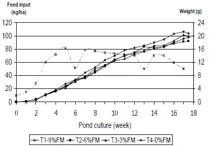 A Case Study on Feed Management to Improving Production and Economic Returns for the Semi-Intensive Pond Production of Litopenaeus vannamei - Image 5