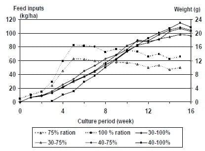 A Case Study on Feed Management to Improving Production and Economic Returns for the Semi-Intensive Pond Production of Litopenaeus vannamei - Image 4