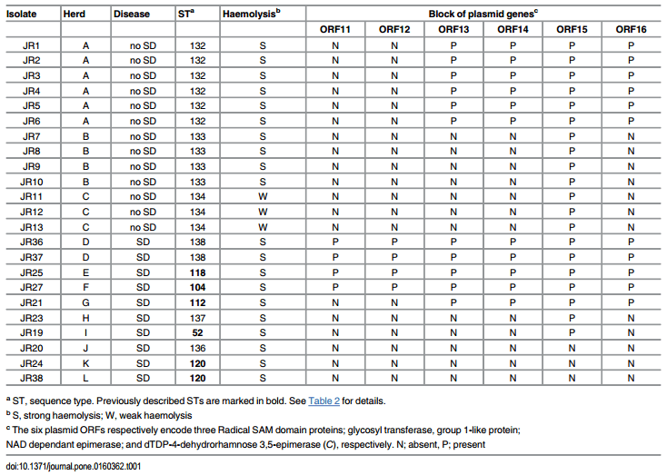 Comparison of Brachyspira hyodysenteriae Isolates Recovered from Pigs in Apparently Healthy Multiplier Herds with Isolates from Herds with Swine Dysentery - Image 1