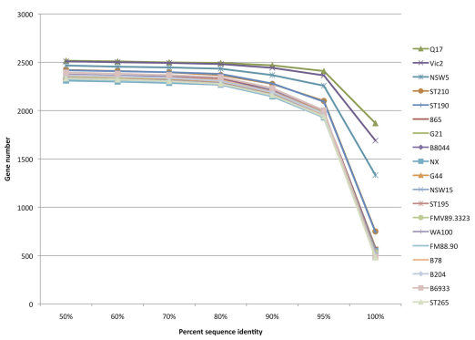 Analysis of Multiple Brachyspira hyodysenteriae Genomes Confirms That the Species Is Relatively Conserved but Has Potentially Important Strain Variation - Image 10