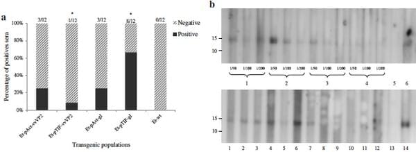 Viral proteins expressed in the protozoan parasite Eimeria tenella are detected by the chicken immune system - Image 8