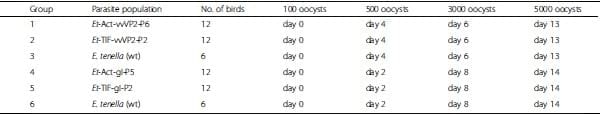 Viral proteins expressed in the protozoan parasite Eimeria tenella are detected by the chicken immune system - Image 3