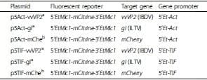 Viral proteins expressed in the protozoan parasite Eimeria tenella are detected by the chicken immune system - Image 2