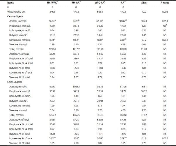 Amino acid fortified diets for weanling pigs replacing fish meal and whey protein concentrate: Effects on growth, immune status, and gut health - Image 6