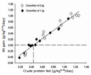 Feed Requirements for Maintenance and Growth of Anemone Clownfish Amphiprion percula - Image 4