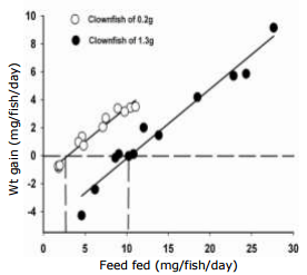 Feed Requirements for Maintenance and Growth of Anemone Clownfish Amphiprion percula - Image 2