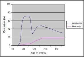 Avian Influenza H9N2 in the Middle East Countries - Image 4