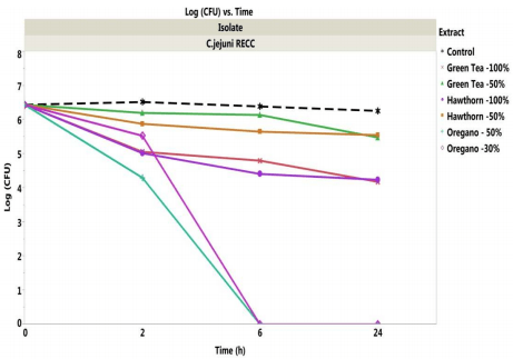 Antibacterial Activity of Commercially Available Plant Extracts on Selected Campylobacter jejuni Strains - Image 11
