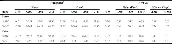Escherichia coli challenge and one type of smectite alter intestinal barrier of pigs - Image 7