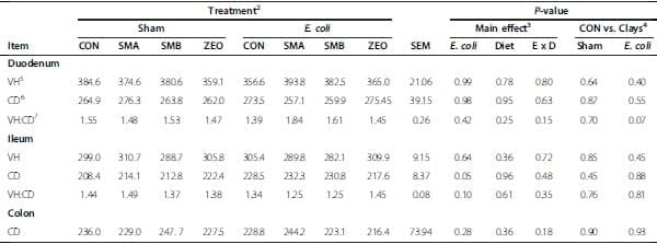Escherichia coli challenge and one type of smectite alter intestinal barrier of pigs - Image 6