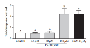 Apoptosis of Endothelial Cells by 13-HPODE Contributes to Impairment of Endothelial Barrier Integrity - Image 10