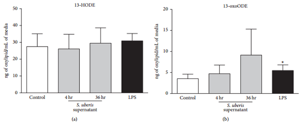 Apoptosis of Endothelial Cells by 13-HPODE Contributes to Impairment of Endothelial Barrier Integrity - Image 5