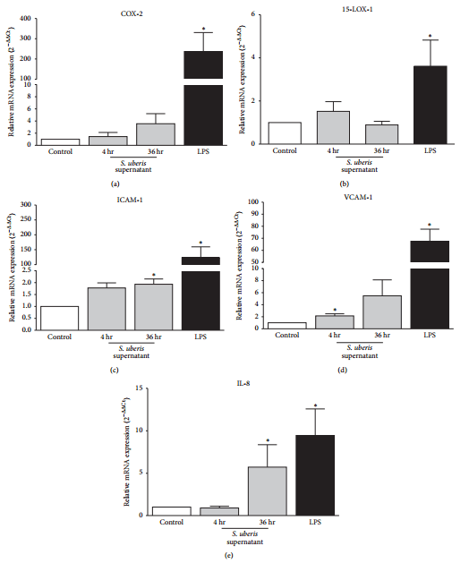 Apoptosis of Endothelial Cells by 13-HPODE Contributes to Impairment of Endothelial Barrier Integrity - Image 4