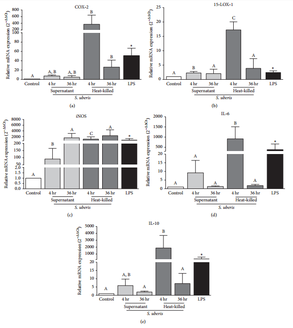 Apoptosis of Endothelial Cells by 13-HPODE Contributes to Impairment of Endothelial Barrier Integrity - Image 6