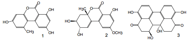 An Overview of Conventional and Emerging Analytical Methods for the Determination of Mycotoxins - Image 4