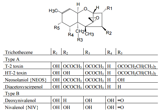 An Overview of Conventional and Emerging Analytical Methods for the Determination of Mycotoxins - Image 2