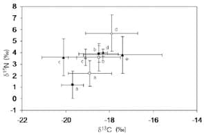 Consistent habitat segregation between sexes in the spider crabs Maja brachydactyla and Maja squinado (Brachyura), as revealed by stable isotopes - Image 4