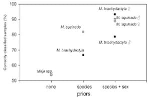 Consistent habitat segregation between sexes in the spider crabs Maja brachydactyla and Maja squinado (Brachyura), as revealed by stable isotopes - Image 7