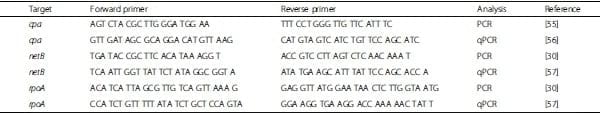 Fumonisins affect the intestinal microbial homeostasis in broiler chickens, predisposing to necrotic enteritis - Image 4