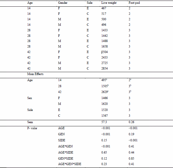 Study of animal welfare through analysis and comparison of the presence of foot pad dermatitis in broilers raised in controlled environments in Brazil and Spain - Image 33