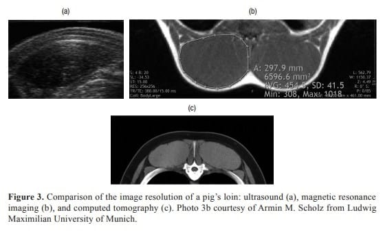 Imaging technologies to study the composition of live pigs: a review - Image 4