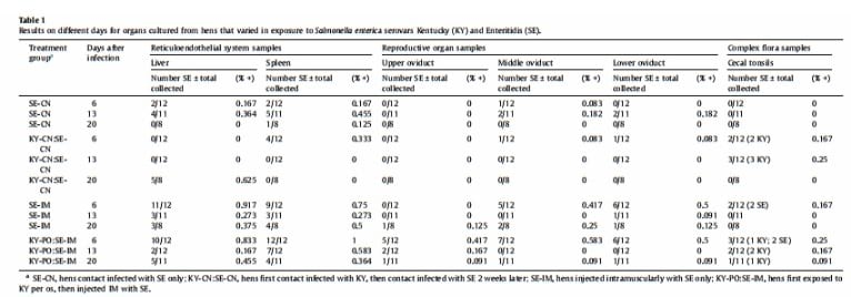 Recovery of Salmonella enterica serovar Enteritidis from hens initially infected with serovar Kentucky - Image 4