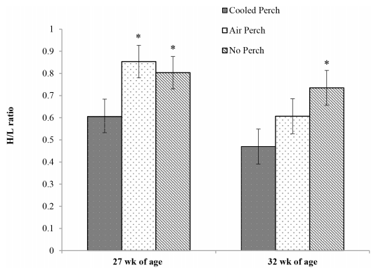 The Effect of Cooled Perches on Immunological Parameters of Caged White Leghorn Hens during the Hot Summer Months - Image 6