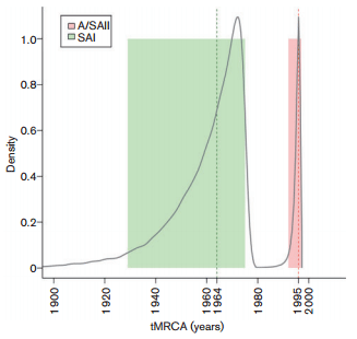 Phylodynamic analysis of avian infectious bronchitis virus in South America - Image 3