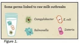 How safe is the consumption of raw milk? - Image 1