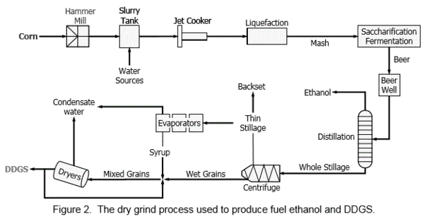 Mycotoxin Control during Grain Processing - Image 2