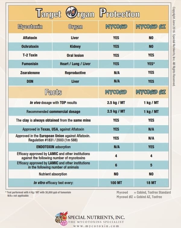 Mycotoxin Lesions in the Slaughter House-Broilers - Image 9
