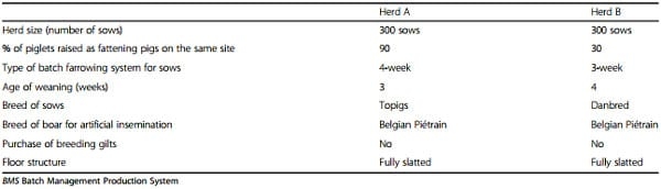 Clinical problems due to encephalomyocarditis virus infections in two pig herds - Image 3