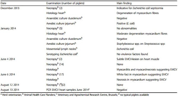 Clinical problems due to encephalomyocarditis virus infections in two pig herds - Image 5