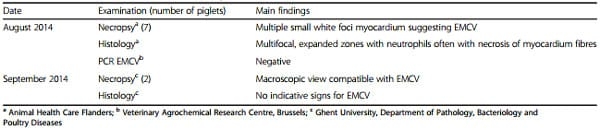 Clinical problems due to encephalomyocarditis virus infections in two pig herds - Image 7