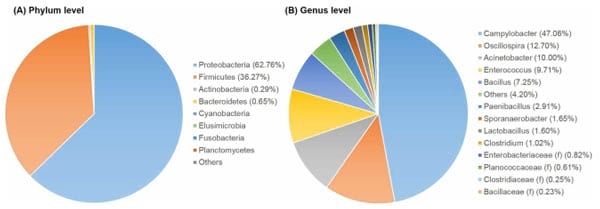 Assessment of Chicken Carcass Microbiome Responses During Processing in the Presence of Commercial Antimicrobials Using a Next Generation Sequencing Approach - Image 11
