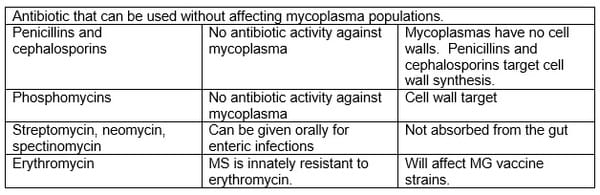 Mycoplasma Control in Asian Countries - Image 1