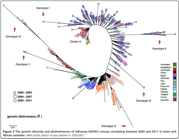 Improving global influenza surveillance: trends of A(H5N1) virus in Africa and Asia - Image 5