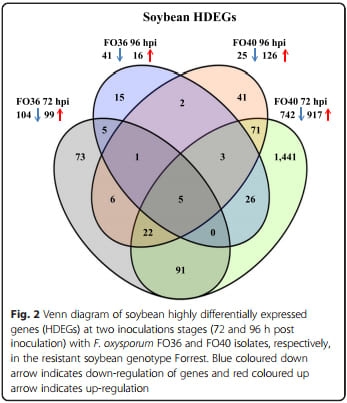 Transcriptome profiling of soybean (Glycine max) roots challenged with pathogenic and non-pathogenic isolates of Fusarium oxysporum - Image 2