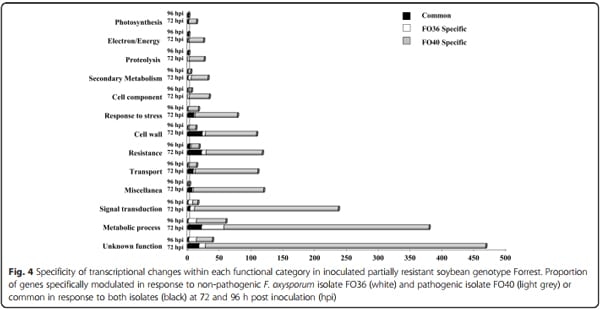 Transcriptome profiling of soybean (Glycine max) roots challenged with pathogenic and non-pathogenic isolates of Fusarium oxysporum - Image 4