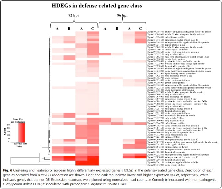 Transcriptome profiling of soybean (Glycine max) roots challenged with pathogenic and non-pathogenic isolates of Fusarium oxysporum - Image 6